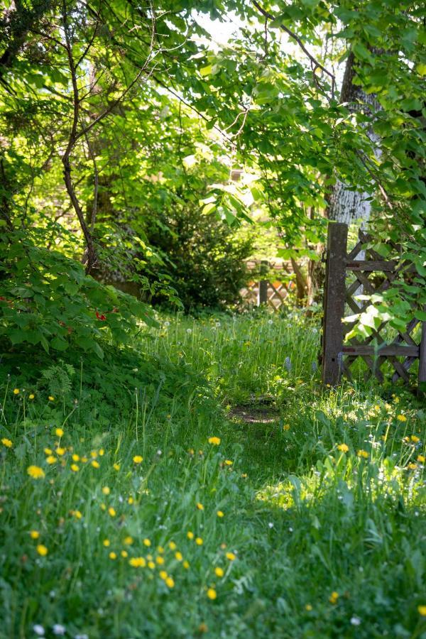Landhauswohnung Mit Wildromantischem Garten Fussen Ngoại thất bức ảnh